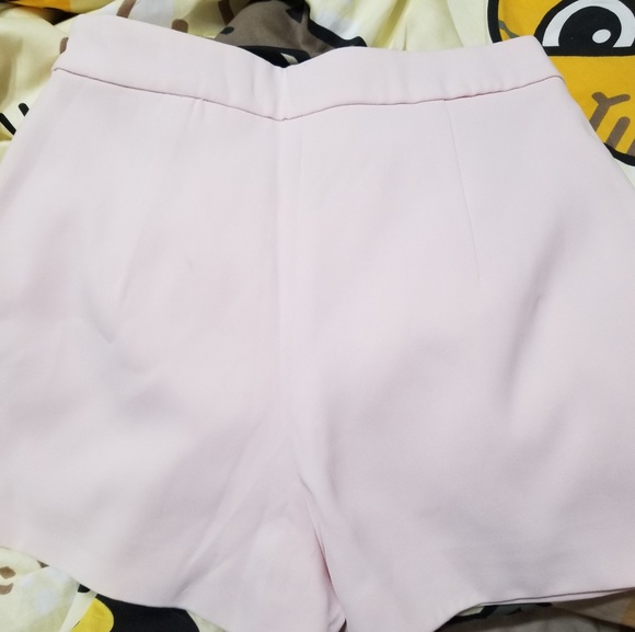 NWOT Delyle Light Pink Pants - Picture 3 of 4